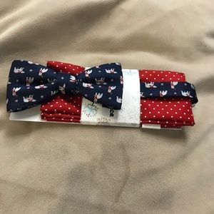 Knotty & Nice neck papillon